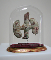 le veritable crane de Napoleon enfant